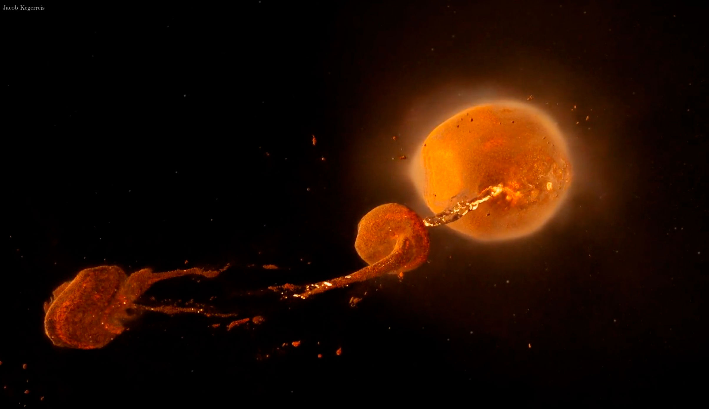 événements astronomiques en 2023